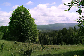 Kurzurlaub im Böhmerwald Nationalpark